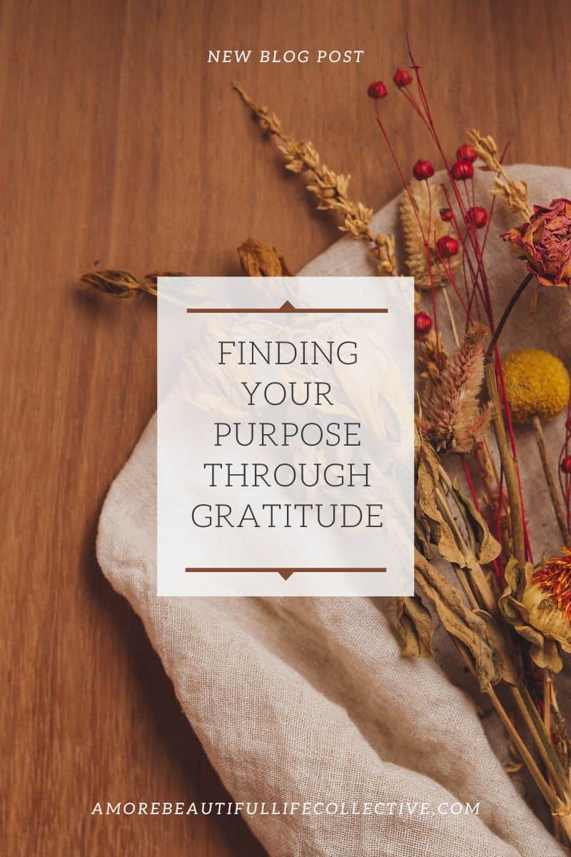 Finding Your Purpose Through Gratitude