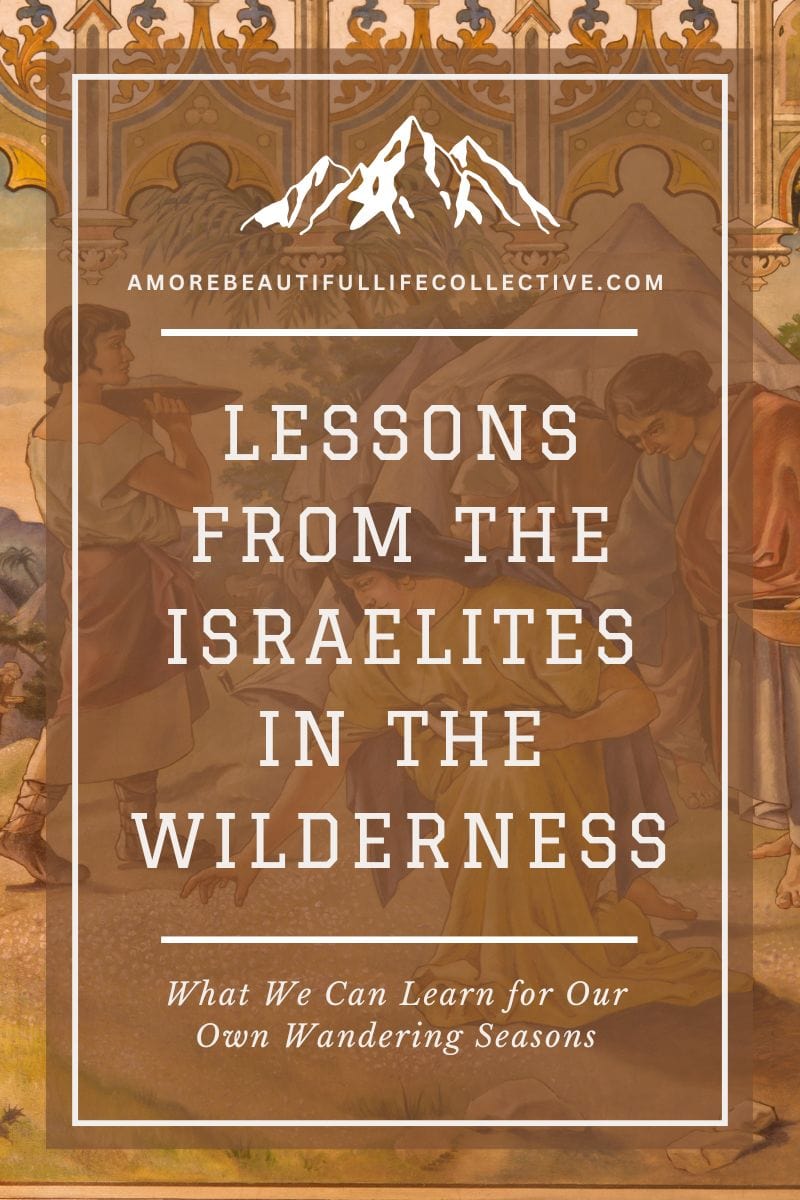 Lessons from the Israelites in the Wilderness: What We Can Learn for Our Own Wandering Seasons