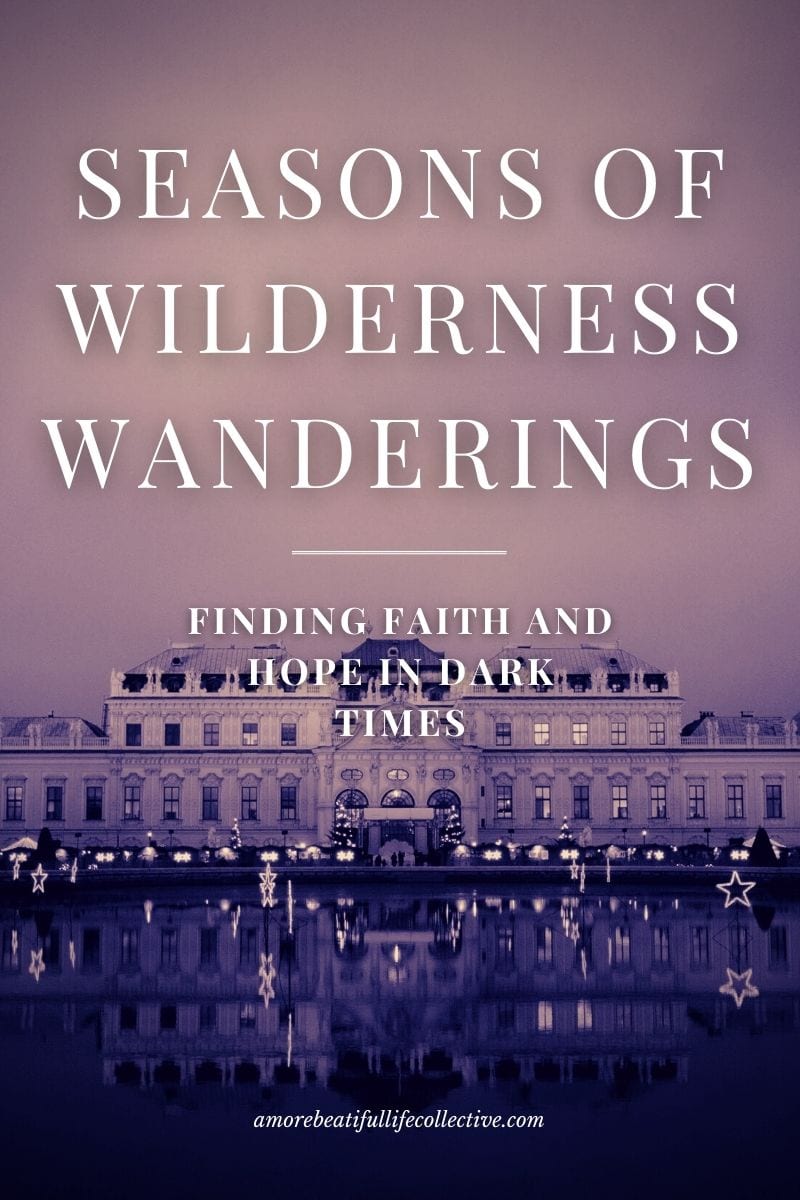 Seasons of Wilderness Wanderings: Finding Faith and Hope in Dark Times