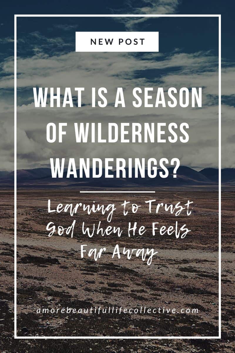What Is a Season of Wilderness Wanderings? Learning to Trust God When He Feels Far Away