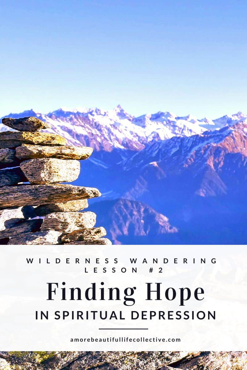 Wilderness Wandering Lesson #2: Finding Hope in Spiritual Depression