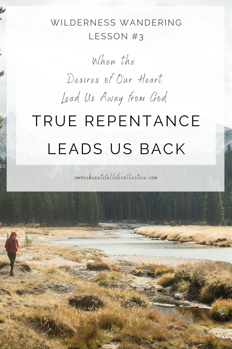 Wilderness Wandering Lesson #3: When the Desires of Our Heart Lead Us Away from God, True Repentance Leads Us Back