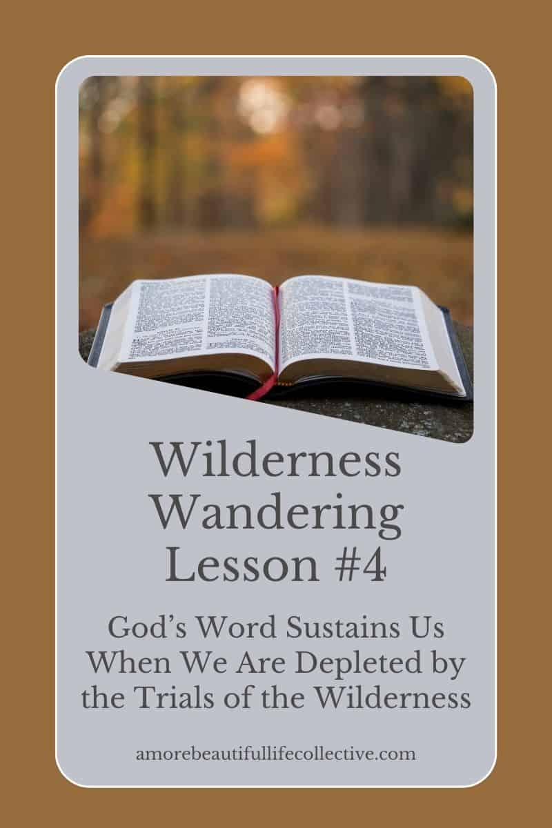 Wilderness Wandering Lesson #4: God’s Word Sustains Us When We Are Depleted by the Trials of the Wilderness