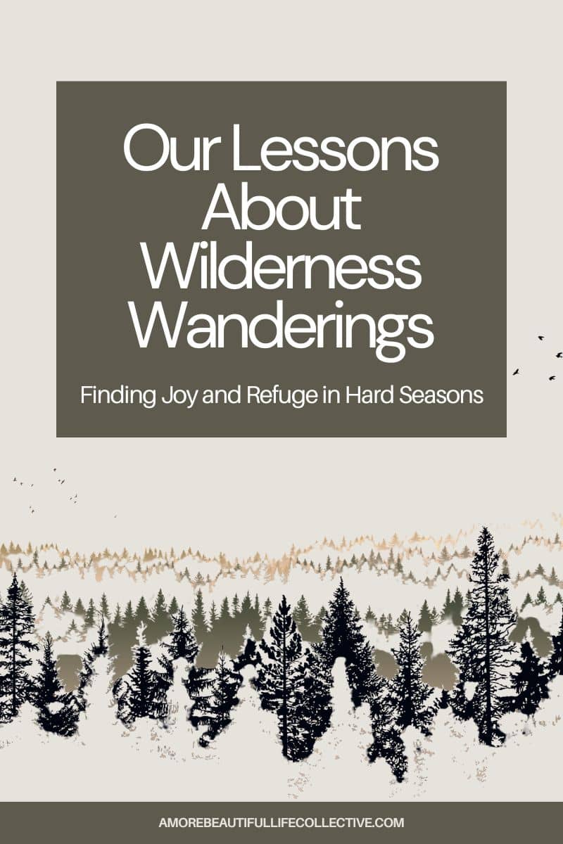 Our Lessons About Wilderness Wanderings: Finding Joy and Refuge in Hard Seasons
