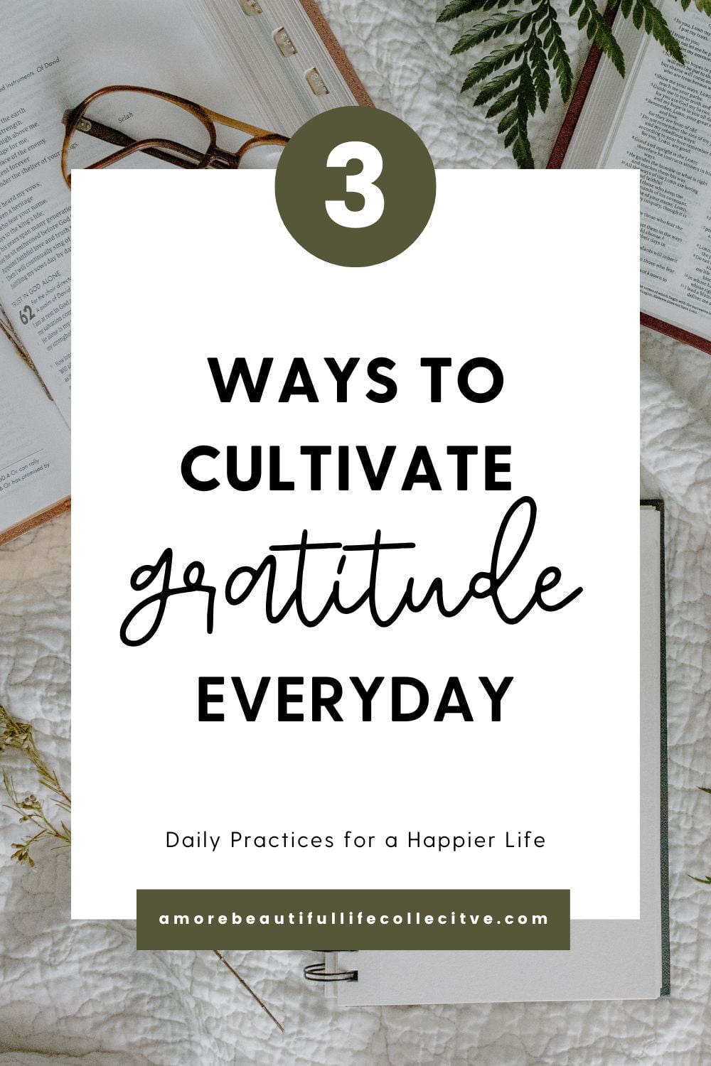 3 Ways to Cultivate Gratitude Everyday
