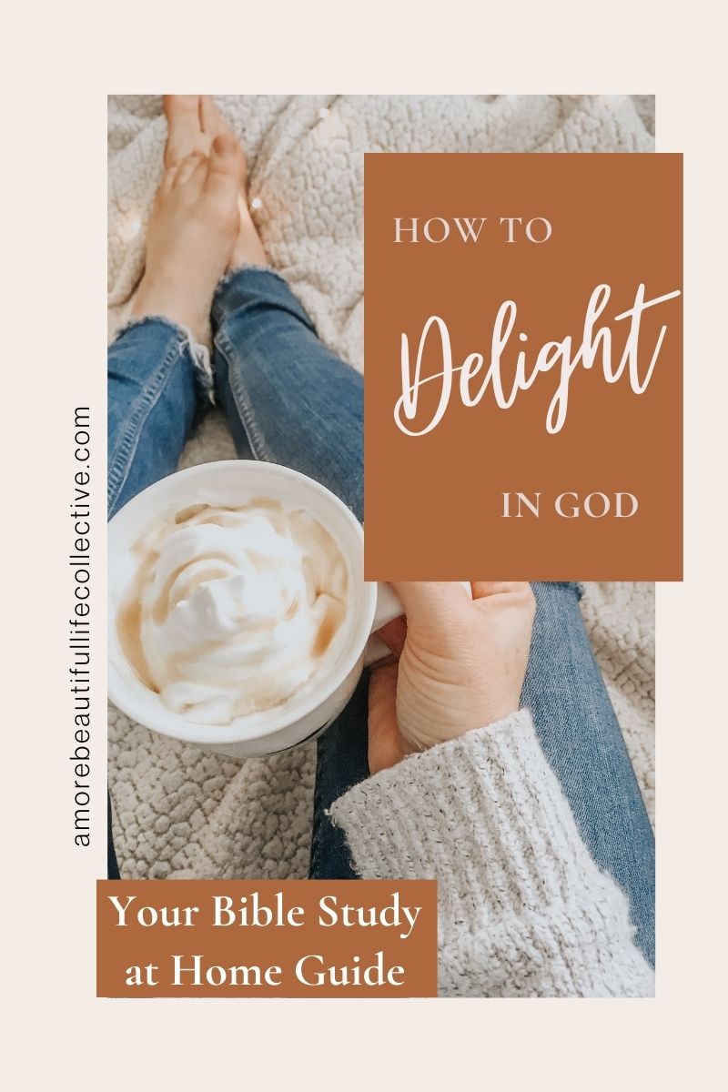 How to Delight in God: Your Bible Study at Home Guide