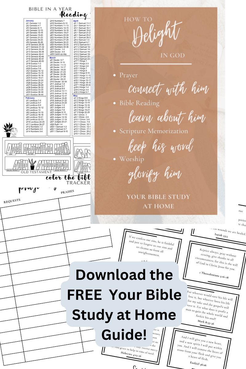 Bible Study at Home FREE PDF Guide → A More Beautiful Life Collective