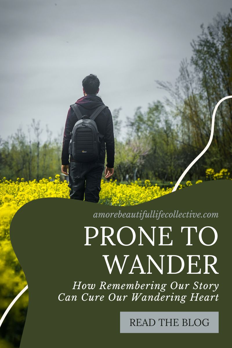 Prone to Wander: How Remembering Our Story Can Cure Our Wandering Heart