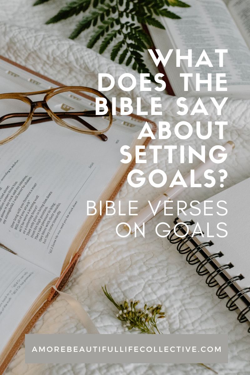 What does the Bible say about setting goals?: Bible Verses on Goals