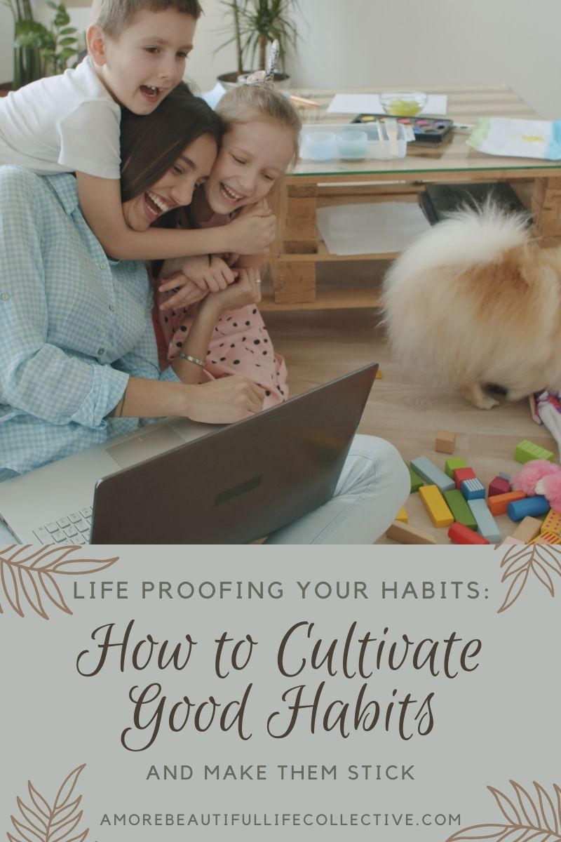 Life Proofing Your Habits: How to Cultivate Good Habits and Make Them Stick
