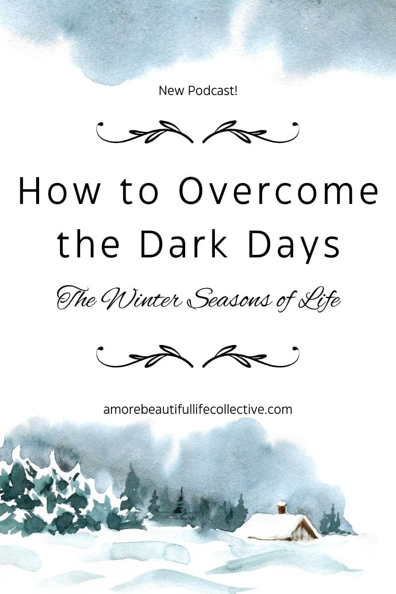 How to Overcome the Dark Days: The Winter Seasons of Life