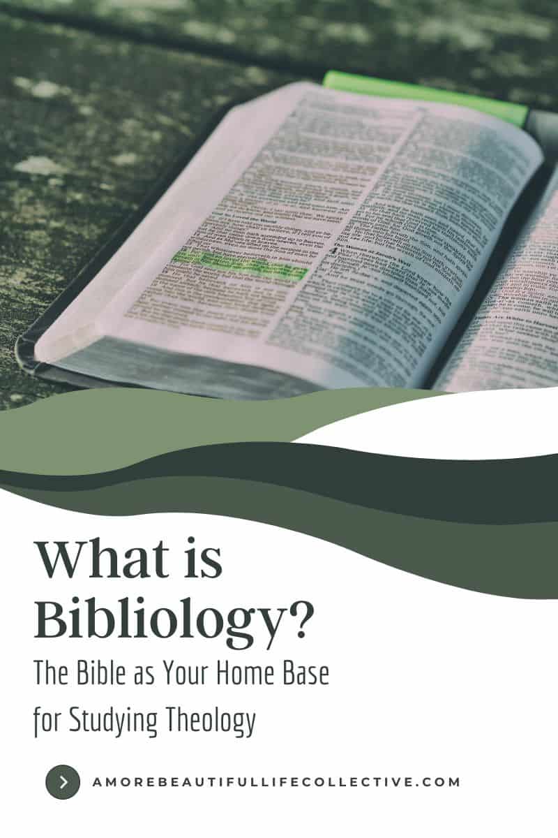 What is Bibliology?: The Bible as Your Home Base for Studying Theology