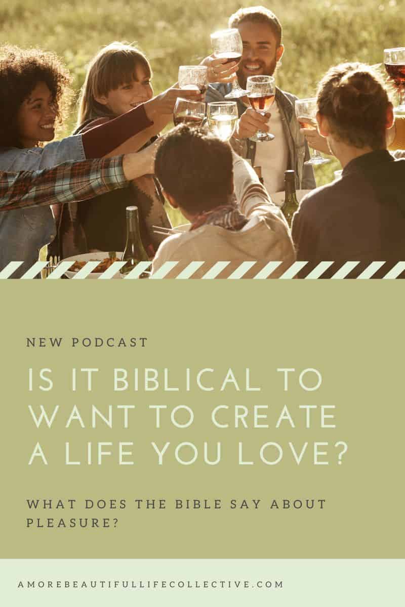 Is it biblical to want to create a life you love? What does the Bible say about pleasure?