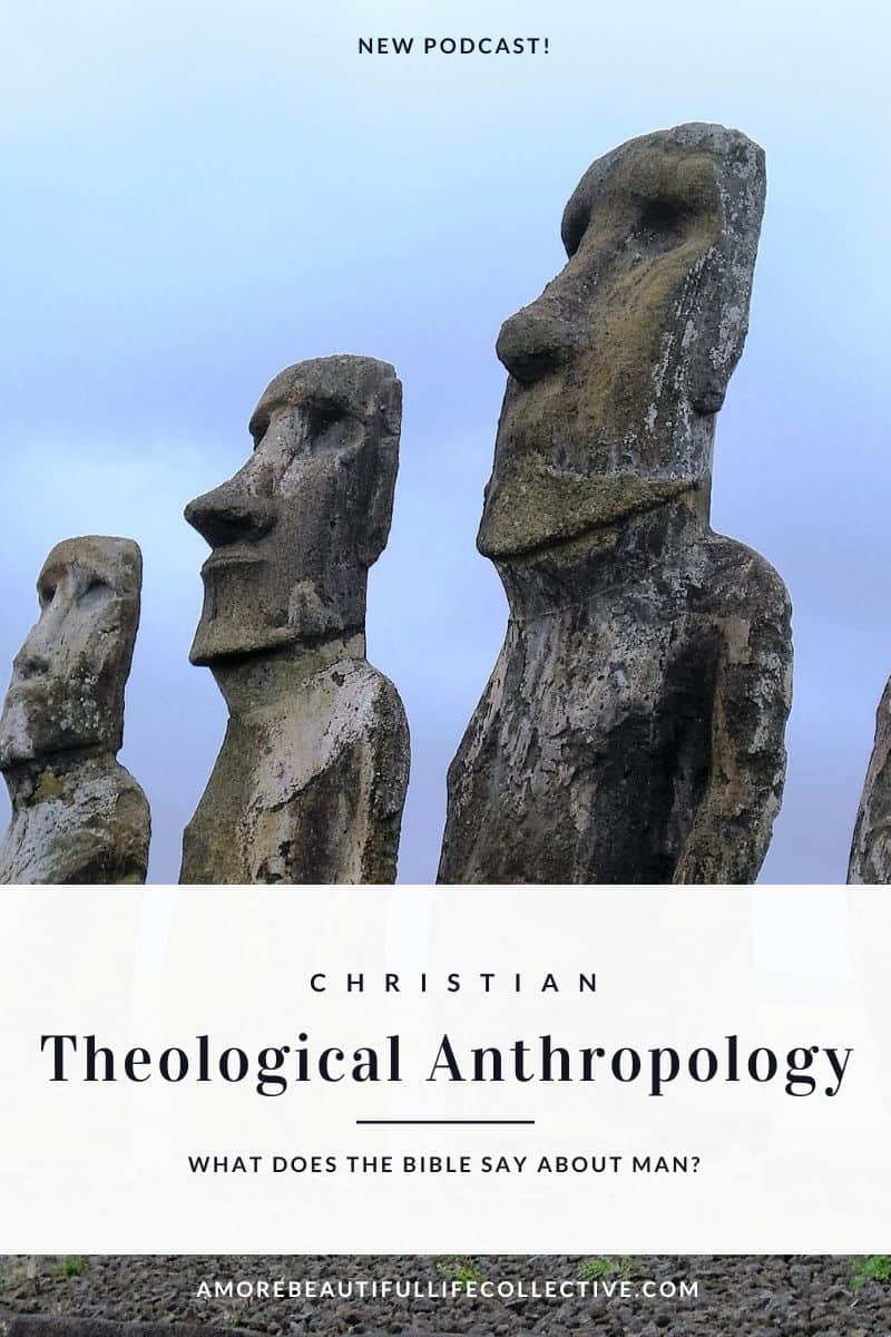 What does the Bible say about man?: Christian Theological Anthropology