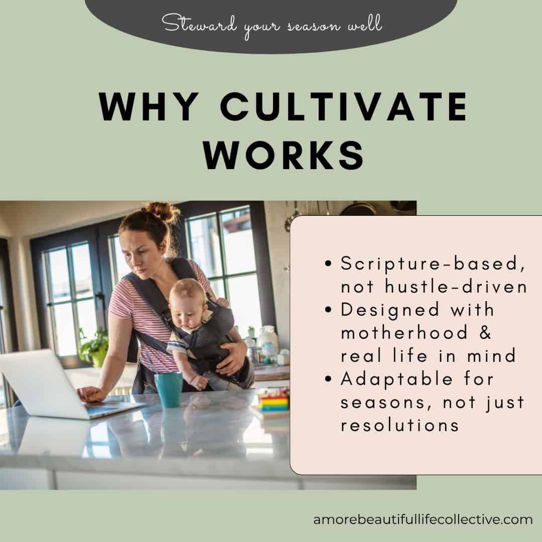 Cultivate: A Faithful Framework for Aspirations, Goals & Habits – Christian Goal - Image 5