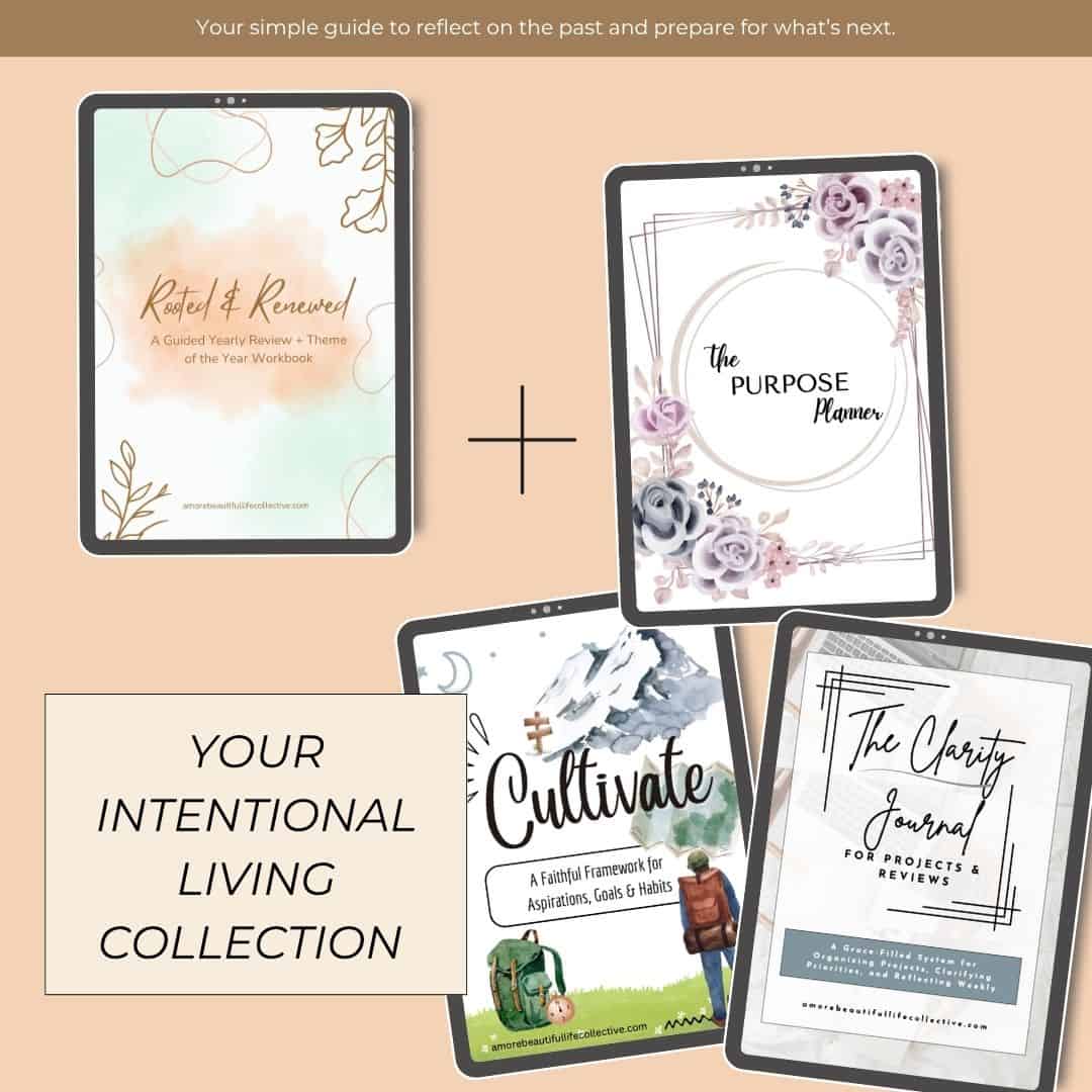 Rooted & Renewed: A Guided Yearly Review + Theme of the Year Workbook | Reflect, Refocus, and Live with Intention - Image 4