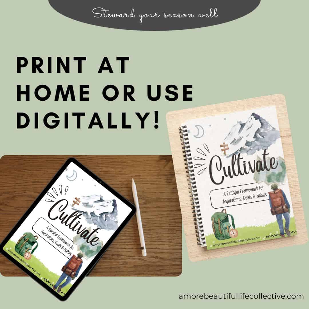 Cultivate: A Faithful Framework for Aspirations, Goals & Habits – Christian Goal - Image 7