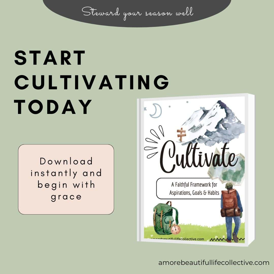 Cultivate: A Faithful Framework for Aspirations, Goals & Habits – Christian Goal - Image 8