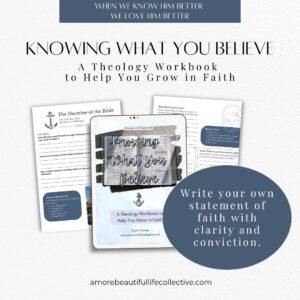 Knowing What You Believe: A Christian Theology Workbook to Help You Grow in Faith