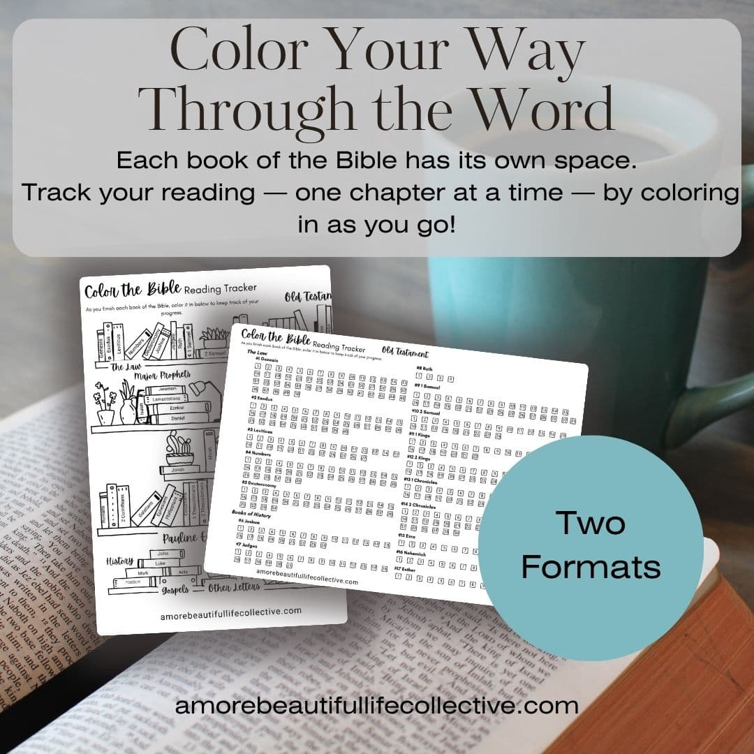 Color the Bible Tracker Printable – Bible Reading Tracker with Chapter Checklist & Illustrated Bookshelf (Portrait + Landscape Formats) - Image 2