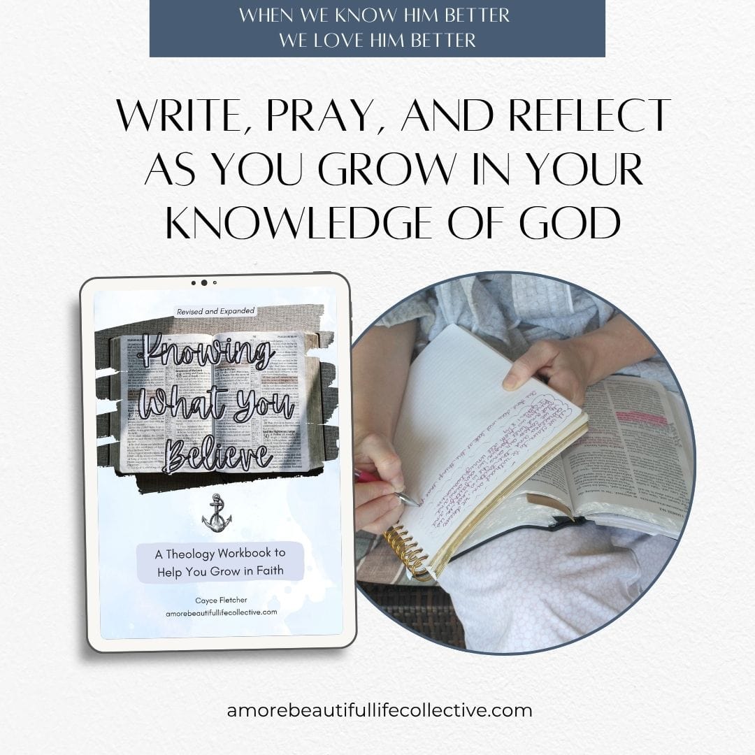 Knowing What You Believe: A Christian Theology Workbook to Help You Grow in Faith - Image 3