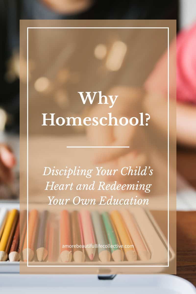 Why Homeschool?: Discipling Your Child’s Heart and Redeeming Your Own Education