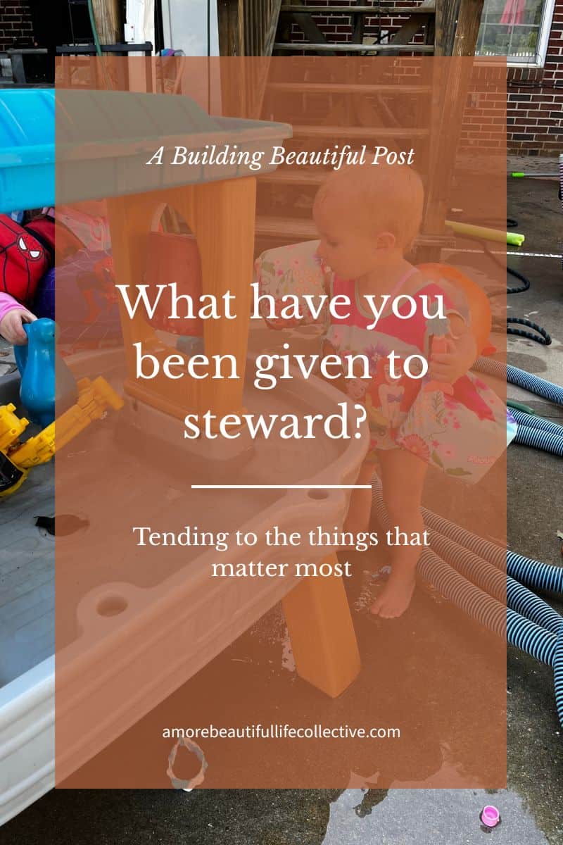 What have you been given to steward?: On Tending the Things that Matter Most